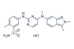 Selleck Chemical LLC Pazopanib HCl (GW786034 HCl) 100mg 635702-64-6, Quantity: