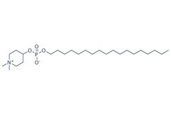 Selleck Chemical LLC Perifosine (KRX-0401) 5mg 157716-52-4 NSC639966