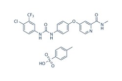 Selleck Chemical LLC Sorafenib Tosylate 50mg 475207-59-1 Bay 43-9006, Quantity: