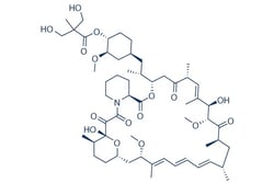 Selleck Chemical LLC Temsirolimus (CCI-779) 50mg 162635-04-3 NSC 683864,