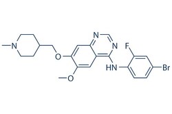 Selleck Chemical LLC Vandetanib (ZD6474) 500mg 443913-73-3, Quantity: Each