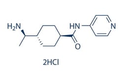 Selleck Chemical LLC Y-27632 2HCl 50mg 129830-38-2, Quantity: Each of 1