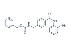 Selleck Chemical LLC Entinostat (MS-275) 200mg 209783-80-2 SNDX-275, Quantity: