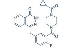 Selleck Chemical LLC Olaparib (AZD2281) 25mg 763113-22-0 Ku-0059436, Quantity: