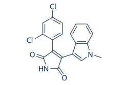Selleck Chemical LLC SB216763 5mg 280744-09-4, Quantity: Each of 1
