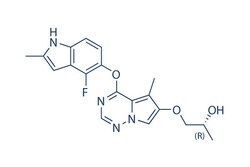 Selleck Chemical LLC&nbsp;Brivanib (BMS-540215) 5mg 649735-46-6