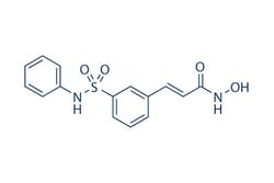 Selleck Chemical LLC Belinostat (PXD101) 10mg 414864-00-9 NSC726630, PX-105684,
