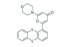 Selleck Chemical LLC KU-55933 (ATM Kinase Inhibitor) 10mM/1mL 587871-26-9,
