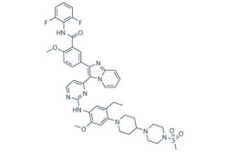 Selleck Chemical LLC GSK1904529A 10mg 1089283-49-7 GSK 4529, Quantity: