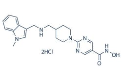 Selleck Chemical LLC Quisinostat (JNJ-26481585) 2HCl 10mM/1mL 875320-31-3,