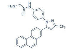 Selleck Chemical LLC OSU-03012 (AR-12) 25mg 742112-33-0, Quantity: Each