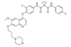 Selleck Chemical LLC Foretinib (GSK1363089) 50mg 849217-64-7 EXEL-2880,XL-880,