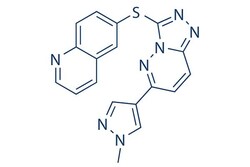 Selleck Chemical LLC SGX-523 5mg 1022150-57-7, Quantity: Each of 1