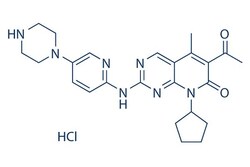 Selleck Chemical LLC Palbociclib (PD-0332991) HCl 10mg 827022-32-2, Quantity: