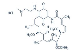 Selleck Chemical LLC Alvespimycin (17-DMAG) HCl 10mM/1mL 467214-21-7 NSC