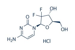 Selleck Chemical LLC Gemcitabine HCl 100mg 122111-03-9 LY188011, Quantity: