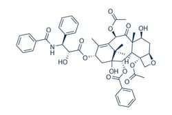 Selleck Chemical LLC Paclitaxel 50mg 33069-62-4 NSC 125973, PTX, Taxol,