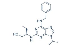 Selleck Chemical LLC Roscovitine (Seliciclib) 10mg 186692-46-6 CYC202,
