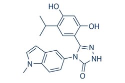 Selleck Chemical LLC Ganetespib (STA-9090) 10mM/1mL 888216-25-9, Quantity: