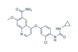 Selleck Chemical LLC Lenvatinib (E7080) 50mg 417716-92-8, Quantity: Each