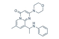 Selleck Chemical LLC TGX-221 25mg 663619-89-4, Quantity: Each of 1
