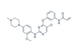 Selleck Chemical LLC WZ4002 10mg 1213269-23-8