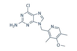 Selleck Chemical LLC BIIB021 50mg 848695-25-0 CNF2024, Quantity: Each of