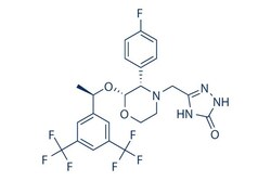 Selleck Chemical LLC Aprepitant 25mg 170729-80-3 MK-0869, L-754030