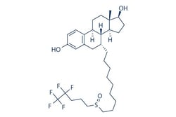 Selleck Chemical LLC Fulvestrant 25mg 129453-61-8 ICI-182780, ZD 9238,