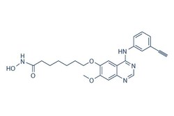 Selleck Chemical LLC CUDC-101 10mg 1012054-59-9, Quantity: Each of 1