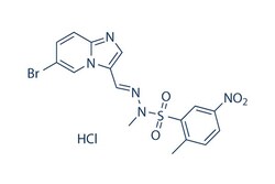 Selleck Chemical LLC PIK-75 HCl 10mg 372196-77-5, Quantity: Each of 1