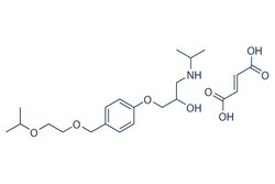 Selleck Chemical LLC Bisoprolol fumarate 25mg 104344-23-2 EMD33512, Quantity: