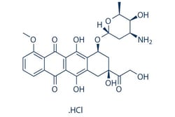 Selleck Chemical LLC Doxorubicin (Adriamycin) HCl 10mg 25316-40-9 NSC 123127,