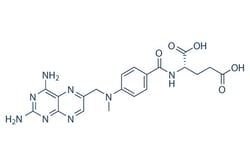 Selleck Chemical LLC Methotrexate 10mM/1mL 59-05-2 NCI-C04671, Quantity:
