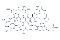 Selleck Chemical LLC Bleomycin Sulfate 10mg 9041-93-4 NSC125066, Quantity: