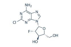 Selleck Chemical LLC Clofarabine 50mg 123318-82-1, Quantity: Each of 1