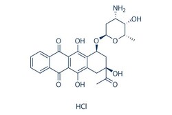 Selleck Chemical LLC Idarubicin HCl 5mg 57852-57-0 4-demethoxydaunorubicin