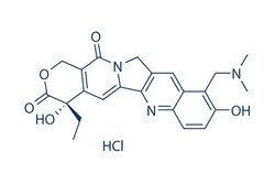 Selleck Chemical LLC Topotecan HCl 50mg 119413-54-6 NSC609699, Nogitecan