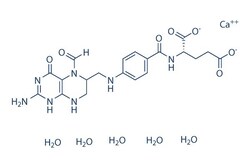 Selleck Chemical LLC Leucovorin Calcium Pentahydrate 50mg 6035-45-6 Folinic