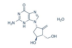 Selleck Chemical LLC Entecavir Hydrate 10mg 209216-23-9, Quantity: Each