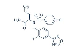 Selleck Chemical LLC Avagacestat (BMS-708163) 5mg 1146699-66-2, Quantity: