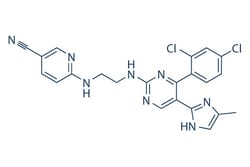 Selleck Chemical LLC CHIR-99021 (CT99021) 5mg 252917-06-9, Quantity: Each