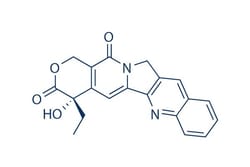 Selleck Chemical LLC Camptothecin 500mg 7689-03-4 NSC-100880, CPT, Quantity: