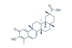 Selleck Chemical LLC Celastrol 50mg 34157-83-0 Tripterine, Quantity: Each