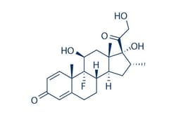 Selleck Chemical LLC Dexamethasone 50mg 50-02-2, Quantity: Each of 1