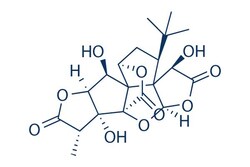 Selleck Chemical LLC Ginkgolide B 500mg 15291-77-7 BN52021, Quantity: Each