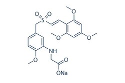 Selleck Chemical LLC Rigosertib (ON-01910) 5mg 1225497-78-8, Quantity: