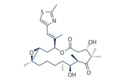 Selleck Chemical LLC Patupilone (Epothilone B) 5mg 152044-54-7 EPO906,