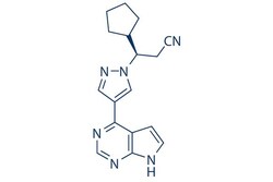 Selleck Chemical LLC Ruxolitinib (INCB018424) 5mg 941678-49-5, Quantity: