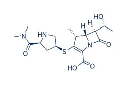 Selleck Chemical LLC Meropenem 25mg 96036-03-2 SM 7338, Quantity: Each